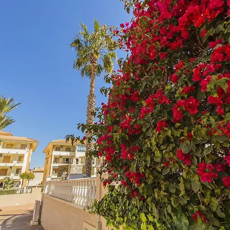 Apartment 003 Amazing Parquemar La Mata- Alicante